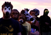 Sound Of Animals Fighting