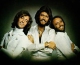 Bee Gees